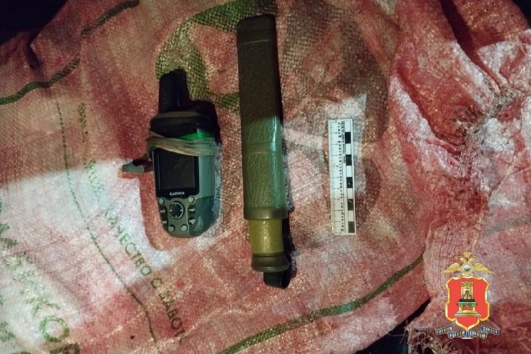 Браконьеры убили двух лосей в лесах Тверской области