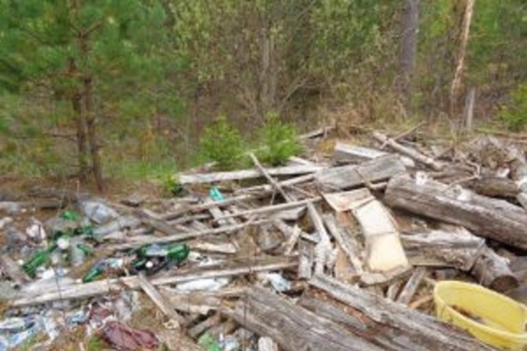 Свалку организовали на сельхозугодьях в Тверской области Свалку организовали на сельхозугодьях в Тверской области
