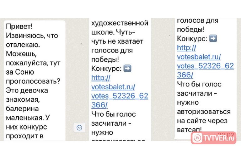 Мошенники атаковали WhatsApp жителей Тверской области с просьбой поддержать балерину Соню