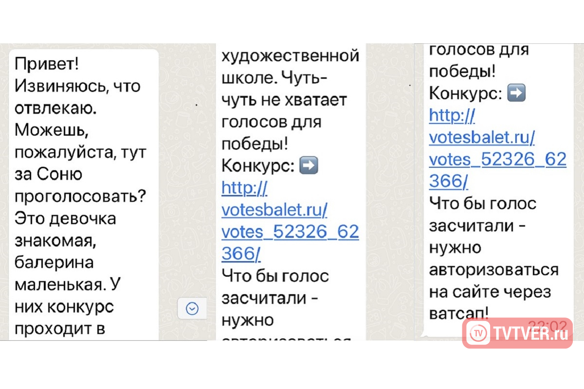 Мошенники атаковали WhatsApp жителей Тверской области с просьбой поддержать балерину Соню