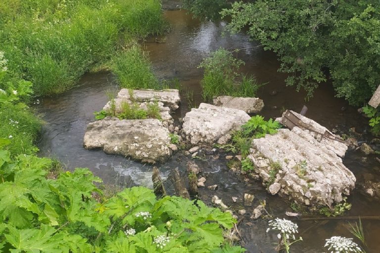 Остатками снесенного моста завалили русло реки в Тверской области