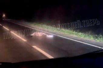 В Тверской области насмерть сбили пешехода
