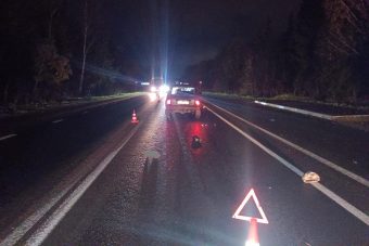 Пожилую женщину сбили насмерть в Тверской области