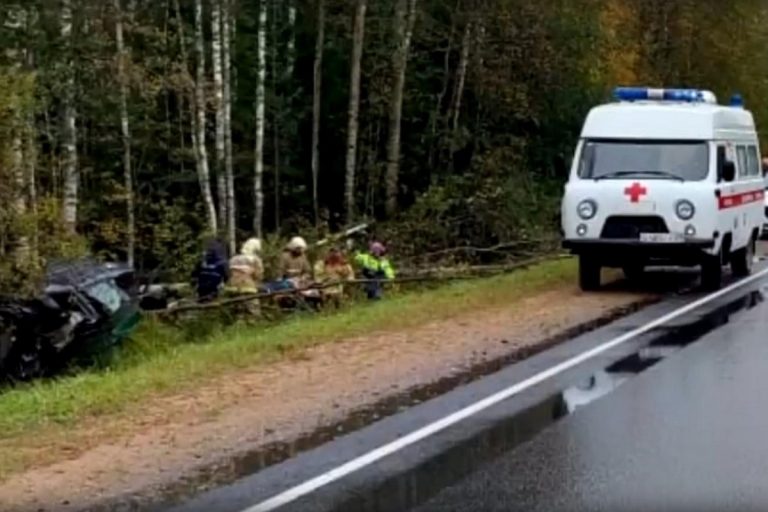 Девушку выбросило из машины во время ДТП в Тверской области