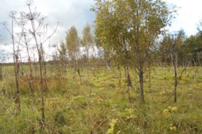 Около 60 гектаров заросших сельхозугодий выявлено в Тверской области