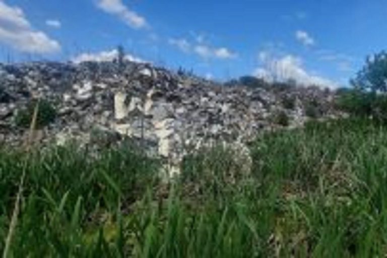 Огромную свалку на сельхозугодьях организовали в Тверской области Огромную свалку на сельхозугодьях организовали в Тверской области