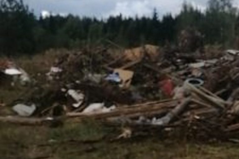 Строительными мусором завалили сельхозугодья в Тверской области