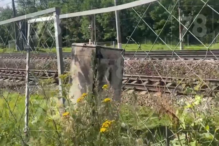 Вора из Тверской области задержали за поджог на железной дороге под Санкт-Петербургом Вора из Тверской области задержали за поджог на железной дороге под Санкт-Петербургом