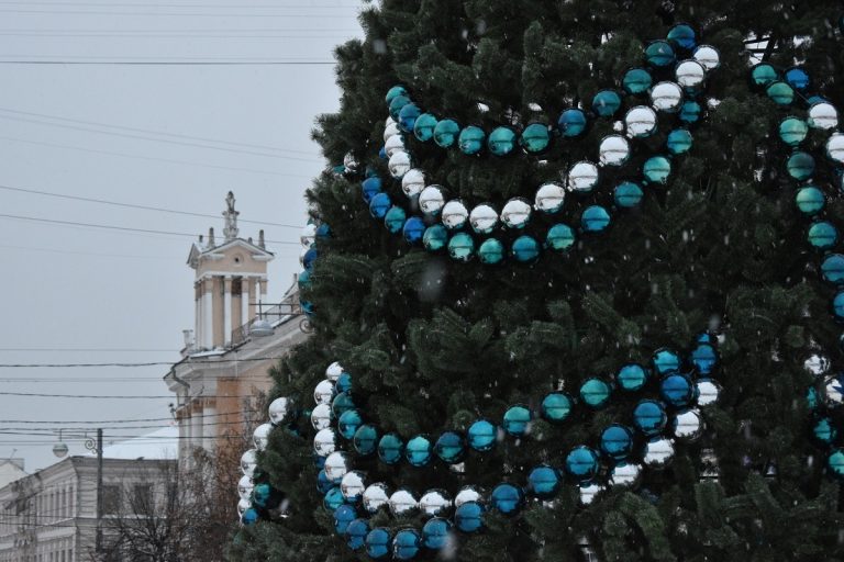 19 новогодних украшенных елей установят в Твери