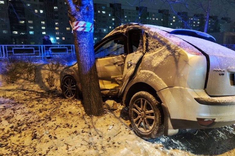 Ford врезался в дерево в микрорайоне Южный в Твери