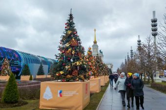 Новогодняя ель Тверской области украсила ВДНХ