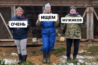 В Тверской области женщины очень ищут мужиков для передержки