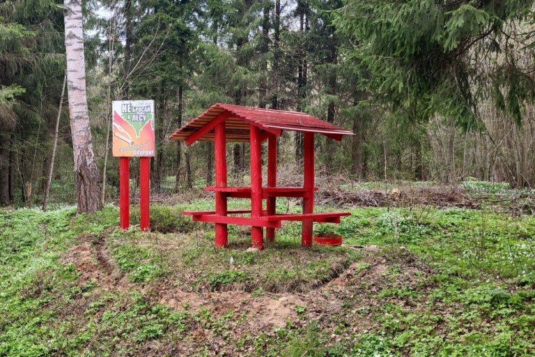 В Тверской области с начала года для охраны лесов от пожаров проложено 35 км дорог