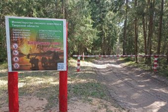 В Тверской области с начала года для охраны лесов от пожаров проложено 35 км дорог