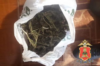 Житель Верхневолжья прятал дома найденную коноплю