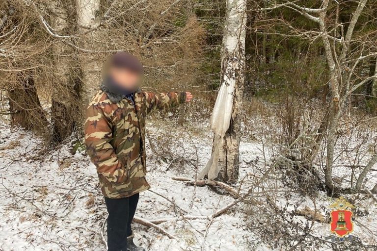 Браконьер пытался убедить тверских полицейских, что нашел застреленного лося Браконьер пытался убедить тверских полицейских, что нашел застреленного лося