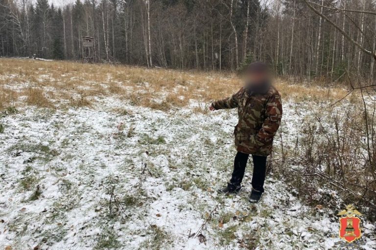 Браконьер пытался убедить тверских полицейских, что нашел застреленного лося