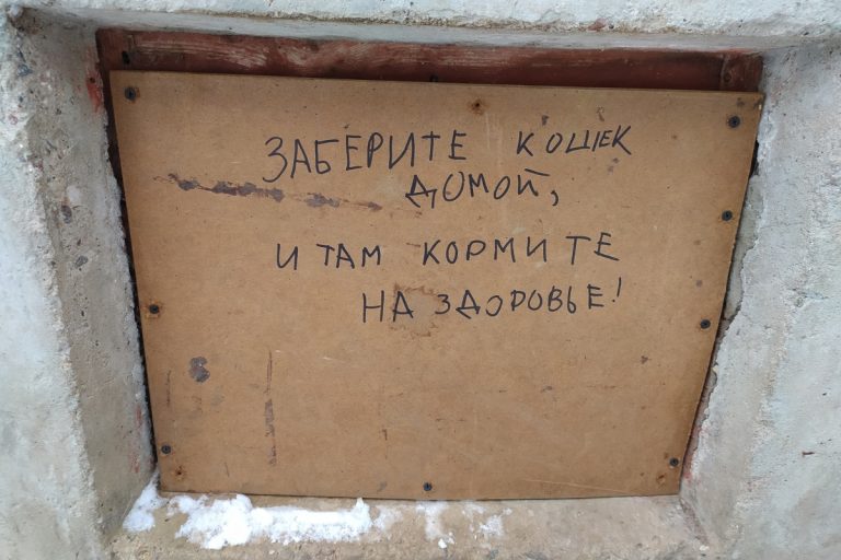В Тверской области жители пятиэтажки замуровали в подвале кошек