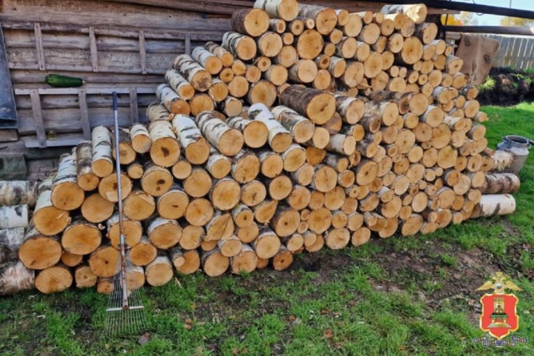 Житель Тверской области заготовил дров и оказался под следствием