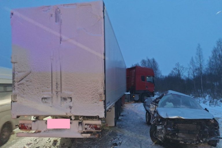 Молодая женщина погибла, муж и двое детей пострадали в ДТП на М-9 в Тверской области