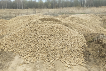 Крупную свалку гнилого картофеля обнаружили в Тверской области