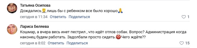 19 января в Тверской области бродячая собака укусила девочку-первоклашку прямо у дверей школы