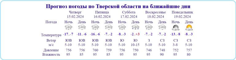 На смену морозам и снегопаду в Тверскую область вновь идет потепление и дождь
