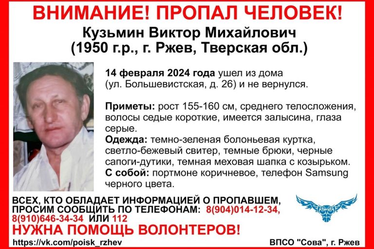 В Тверской области разыскивают 73-летнего мужчину