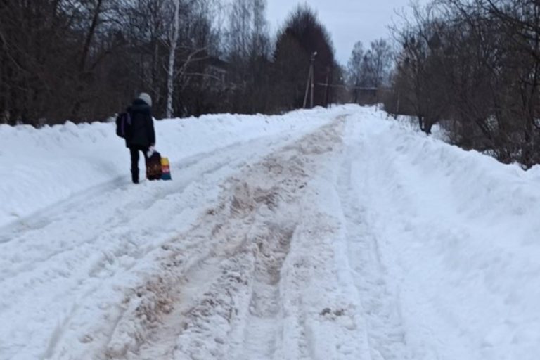В Тверской области пассажирам пришлось выталкивать застрявший в снегу автобус