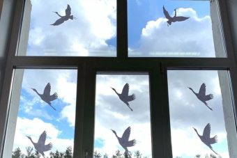 В Тверской области проходят акции в память о жертвах трагедии в «Крокус Сити Холле»