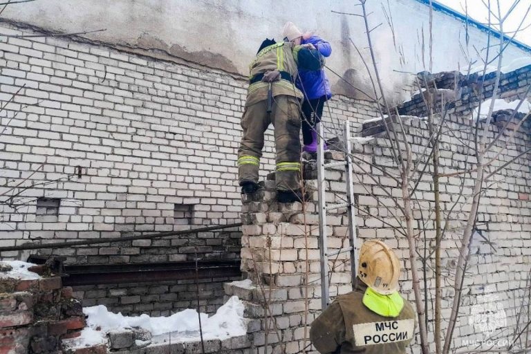 В Тверской области девочка залезла на крышу заброшенного здания, а спуститься не смогла