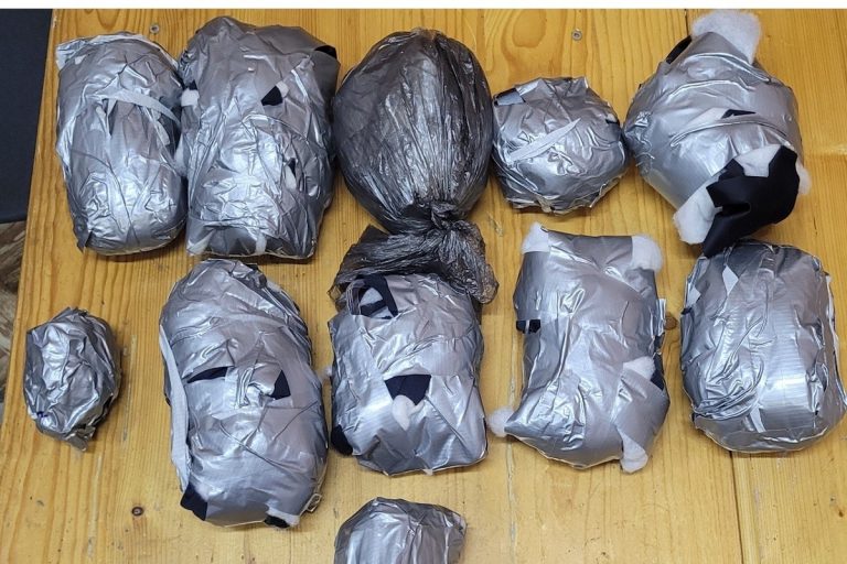 Партию мобильников пытались перебросить в одну из колоний Тверской области