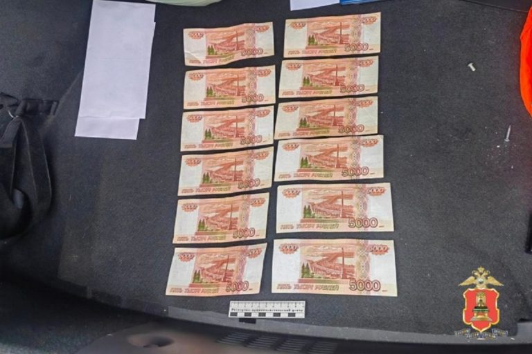 Шайка лжегазовиков обкрадывала жителей Тверской области