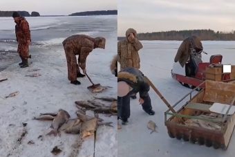 Замор рыбы чудовищных масштабов в Тверской области заинтересовал прокуратуру