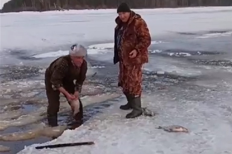 На водохранилище в Тверской области произошел замор рыбы чудовищных масштабов