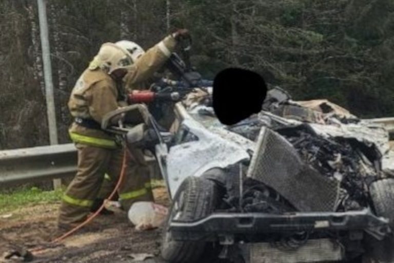 В тверской полиции дали комментарий по поводу ДТП с тремя погибшими в Кувшиновском округе