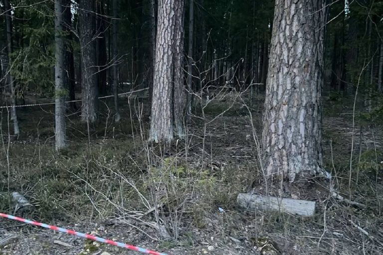 Из-за поиска вооруженного преступника в Тверской области перекрыли съезд с М-11
