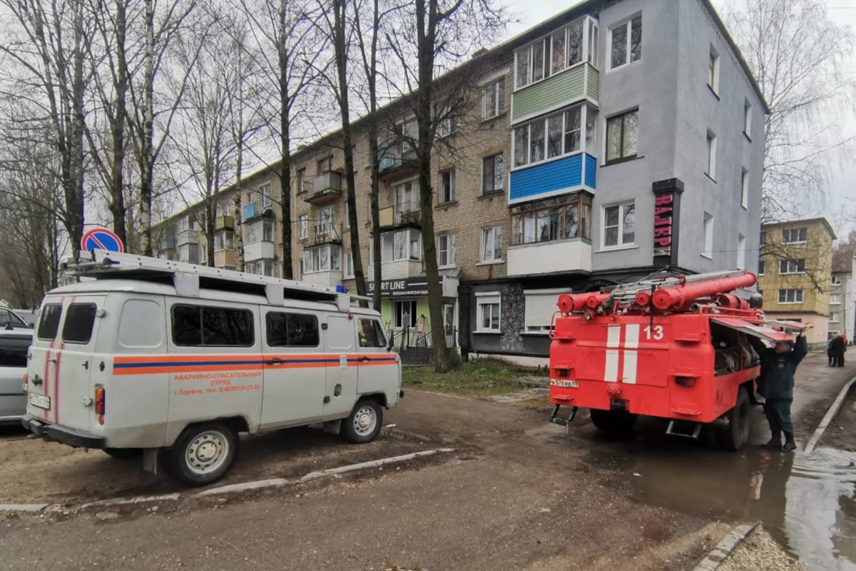 В Тверской области на пожаре спасли женщину с ребёнком
