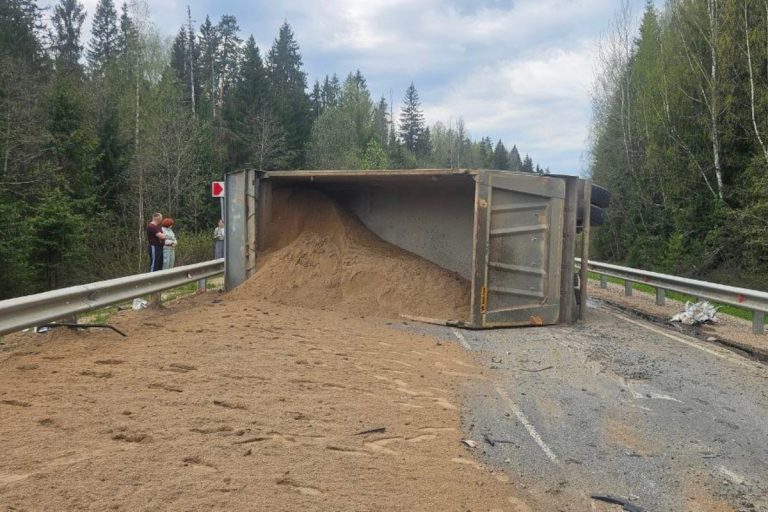 Повреждённое колесо: стали известны подробности смертельного ДТП в Кувшиновском округе