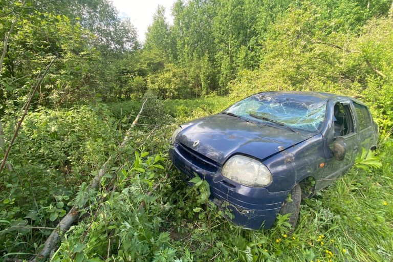Двое несовершеннолетних и взрослый пострадали в ДТП в Тверской области