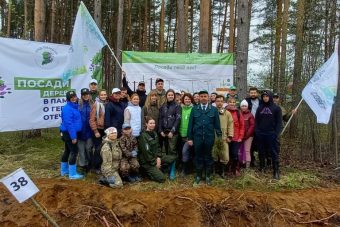 В Тверской области высадили 9,6 млн сеянцев и саженцев