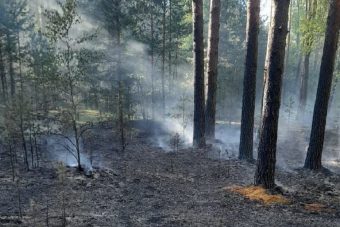 В 35 муниципалитетах Тверской области запрещено жечь костры, мусор и сухую траву