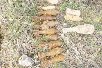 Мины и снаряды времен войны обнаружены в Тверской области