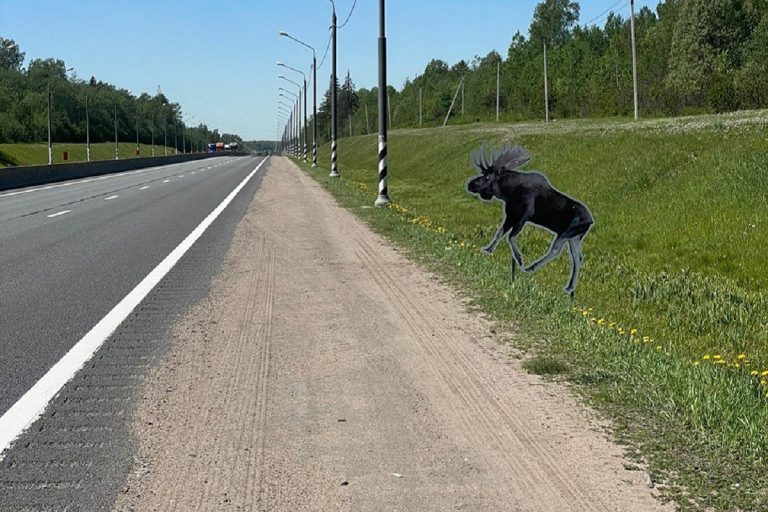 Минприроды Тверской области решило напугать водителей пластиковыми лосями у дорог