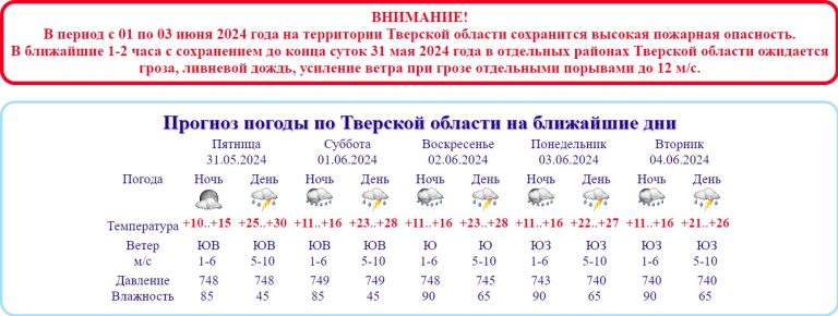 Что ни день, то гроза: стал известен прогноз погоды на ближайшие дни в Тверской области