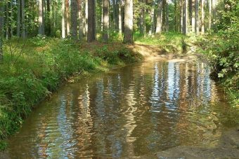 Жителей Тверской области лишили доступа к ручью