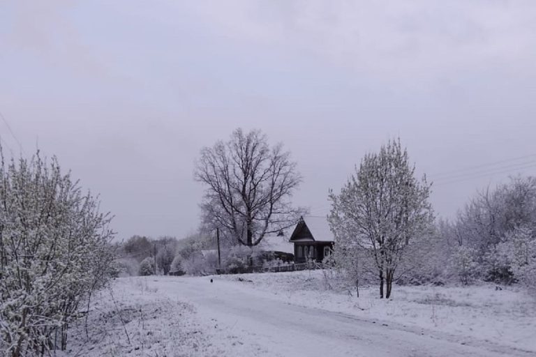 Районы Тверской области занесло снегом