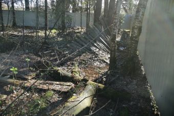 СНТ оставило снесенный забор в лесу под Тверью