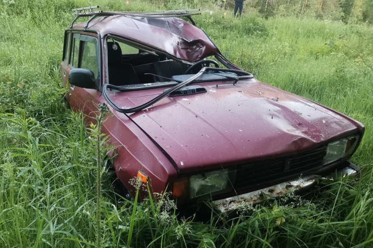 В Тверской области водитель пострадал в столкновении ВАЗа с лосем