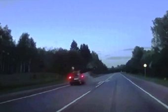 Опубликовано жуткое видео столкновения автомобиля на полном ходу с лосем в Тверской области